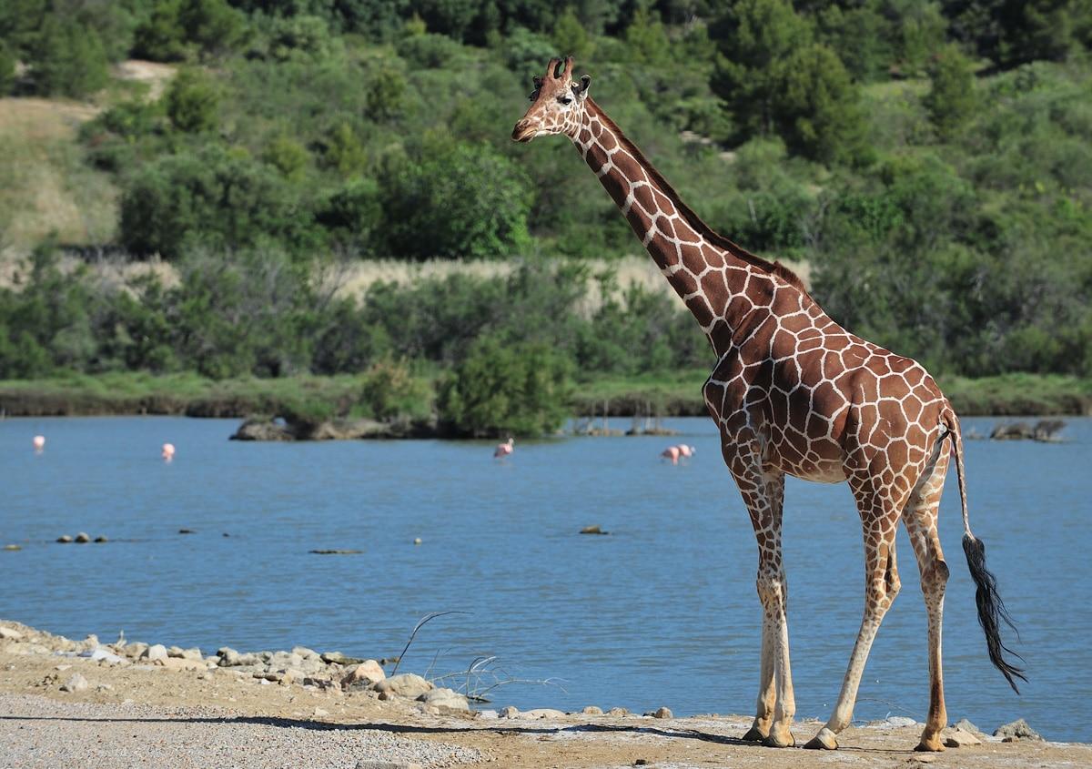 Réserve Naturel de Sigean