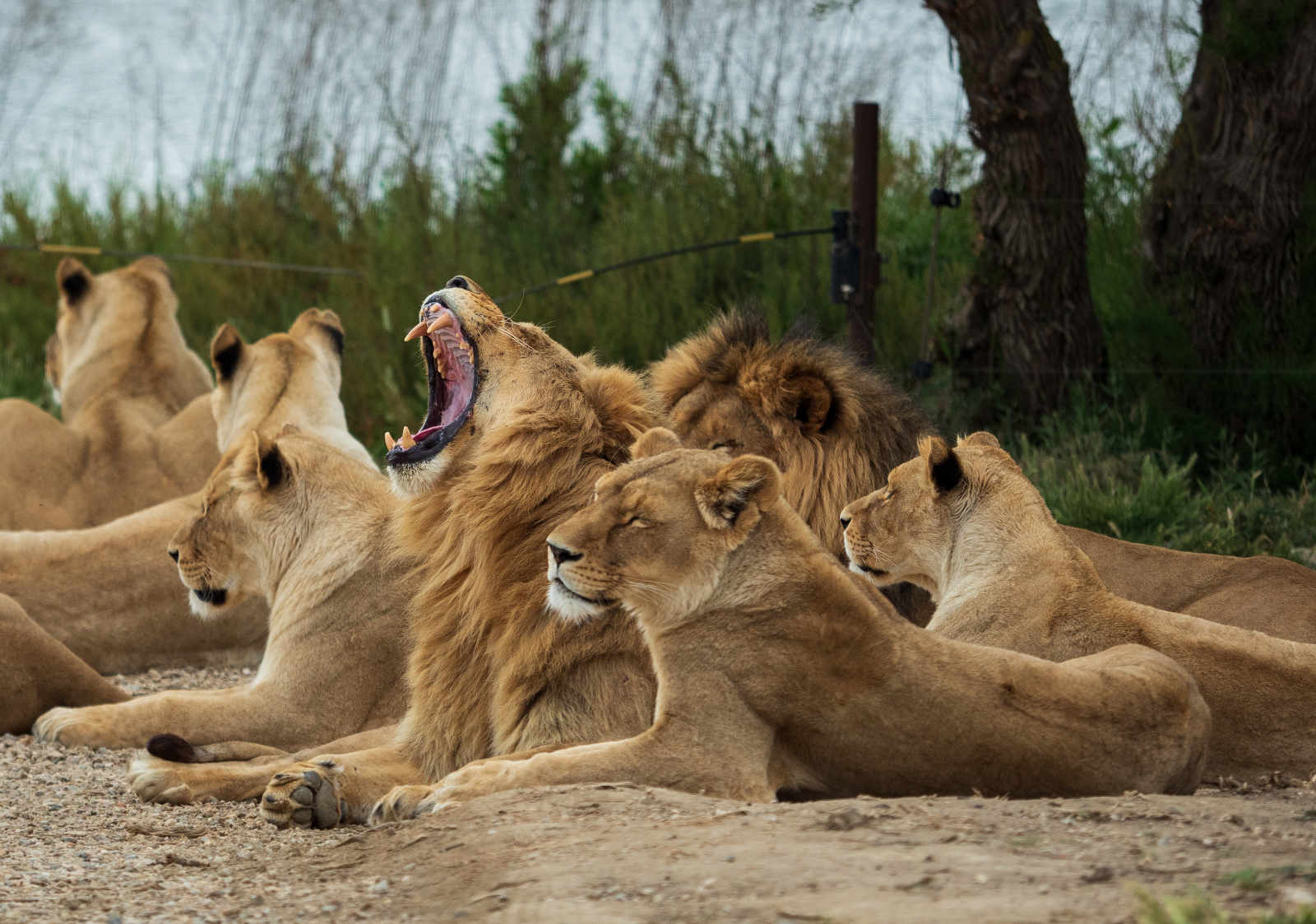 Réserve Naturel de Sigean