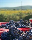 Domaine de La Bouysse