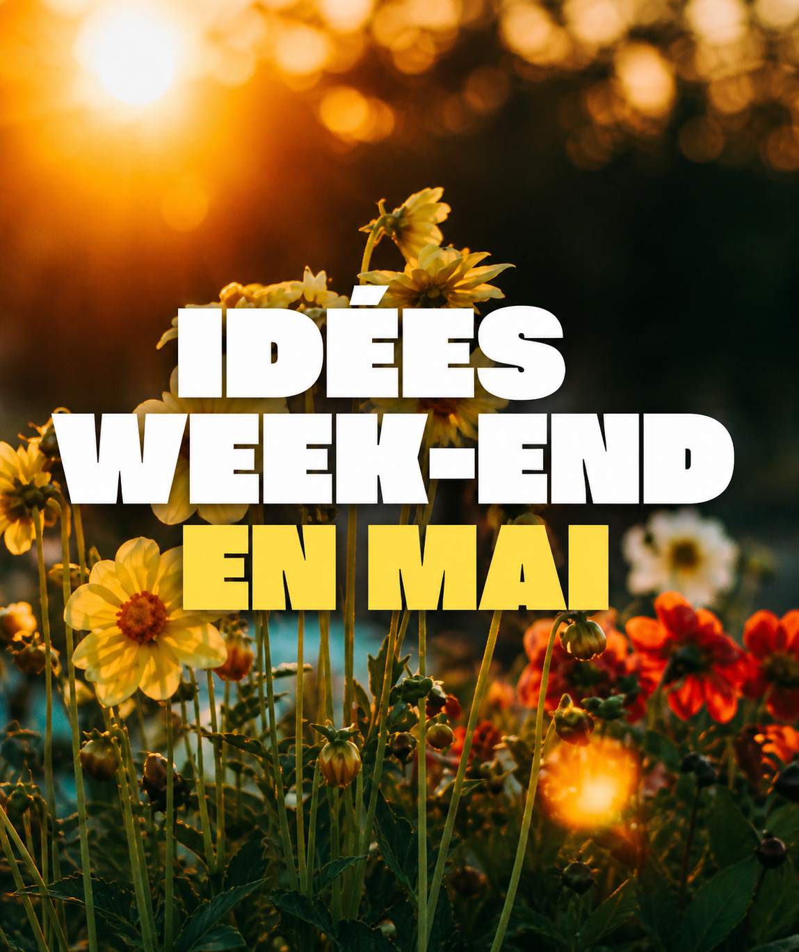 Week-end du 8 Mai