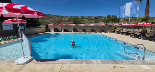 Ouverture de la piscine
