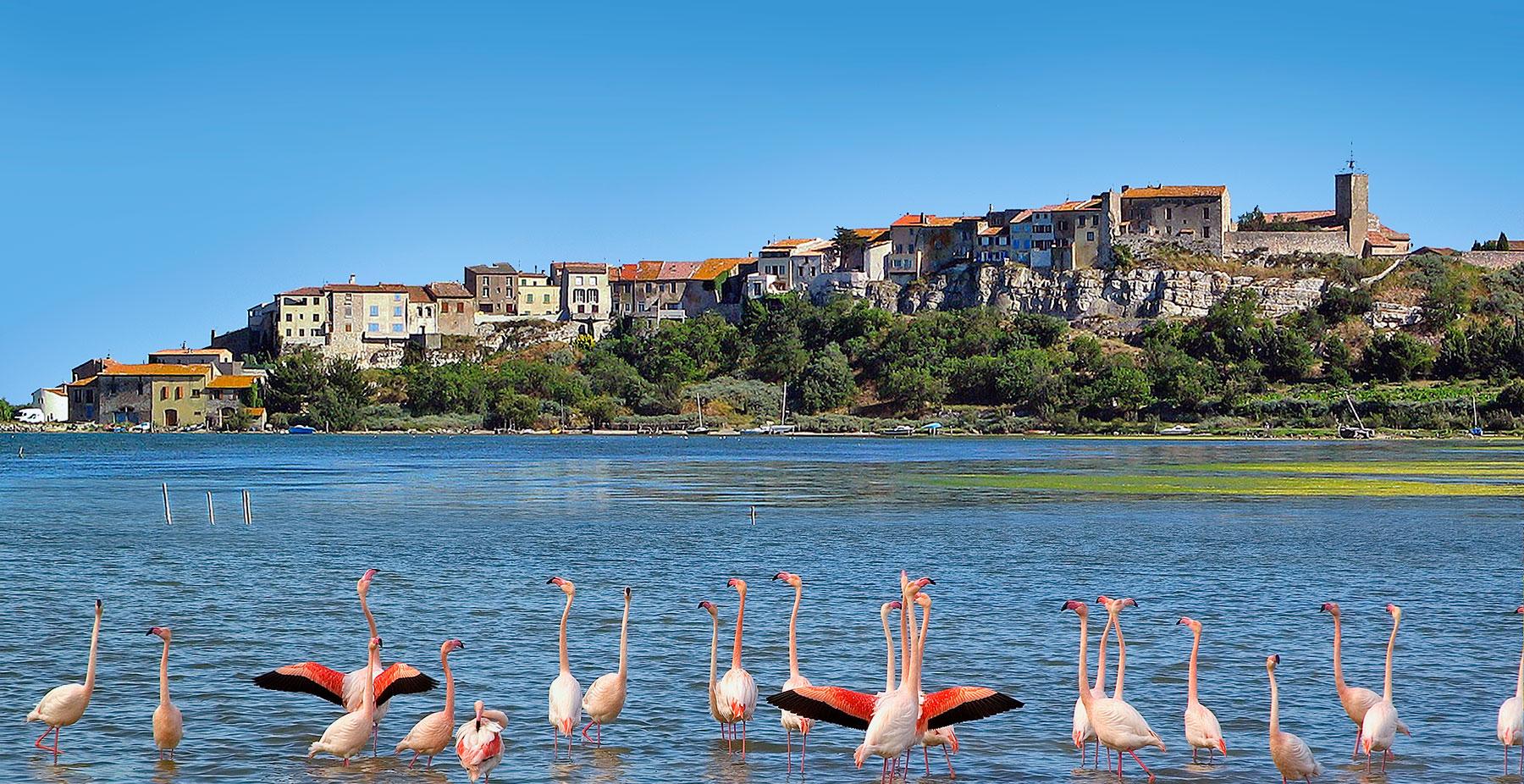 Que faire sur Narbonne en 7 jours