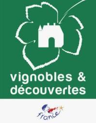 Vignoble et découverte
