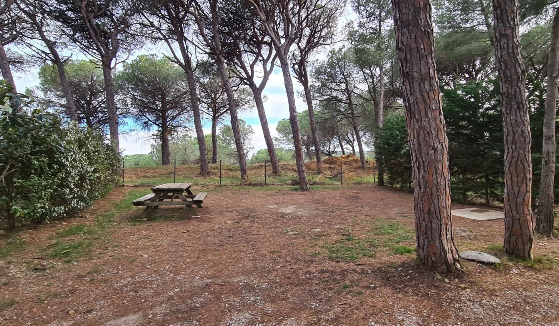 Emplacement Ombrag&eacute;