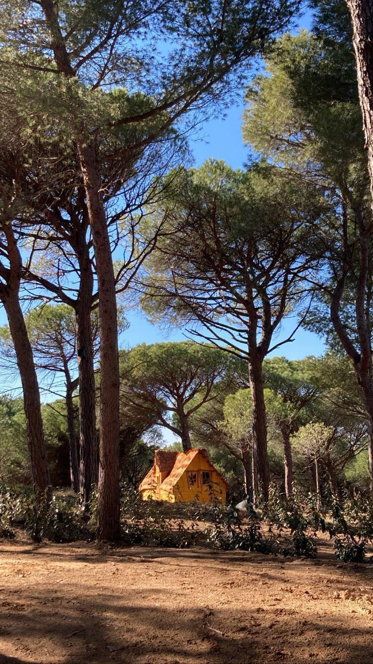 Cabane Enchant&eacute;e